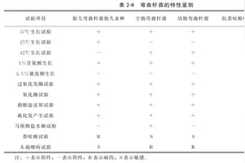 动物源性食品中细菌的检测——弯曲杆菌图片
