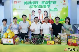 点击量破百万！梅县今晚这场直播场面老牛了…图片