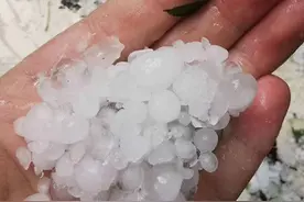狂风+暴雨+冰雹突袭安顺，行道树、电线杆被连根拔起图片