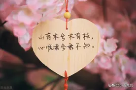 我嫁给了我18岁喜欢的人图片