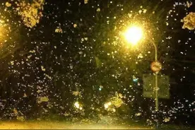 我在新疆的狂风暴雪中艰难奔走图片