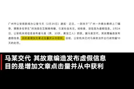 男子造谣“广州女外教猥亵多名男学生”被行拘 称为增加文章点击量获利图片