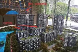 绿城沁园限价风波：房企让步退款图片