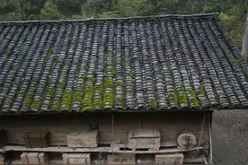 正儿八经的诱蜂液配方及部分诱蜂中草药材诱蜂药配料图片