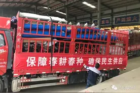 疫情当前 不负使命图片