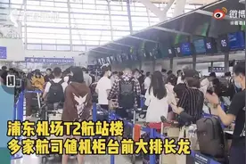 浦东机场出发排队5小时？千米长队原因找到了！机场最新回应图片
