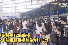 浦东机场出发排队5小时？千米长队原因找到了！机场最新回应图片