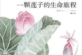 养眼养心，有着荷花气质的一本书图片