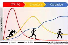 能量棒什么时候吃最好？有哪些功效，适合哪些人吃图片