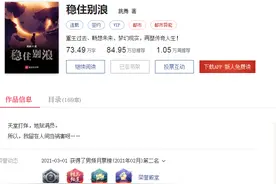 《稳住别浪》：老派后宫文，掌控者深陷感情漩涡图片