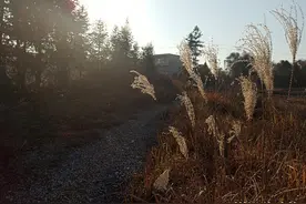 浅谈“面子”图片