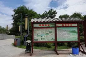 西安“最大”的森林公园！环境好，还有开国皇帝雕像图片
