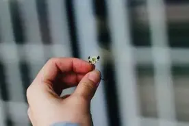 俗话说得好：物以类聚，人以群分图片