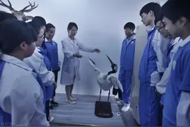 低分生选择这6大专业，不用非得去一线大城市发展，幸福指数高图片