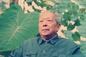 中医吕炳奎：这些问题不解决，不出10年中医或将形同虚设图片