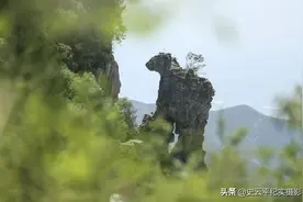 五一小长假，去海拔1600米栖凤岭探秘万年巨型石马，看看啥情况图片