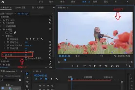 视频有水印怎么办？教你3种方法，给视频去水印，超级简单图片