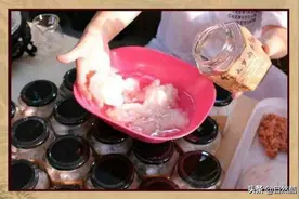 假石太岁以假乱真，重金属含量严重超标图片