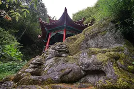 云南一座不出名的小山有三千多个石狮子，最大高25米，叫“狮王”图片