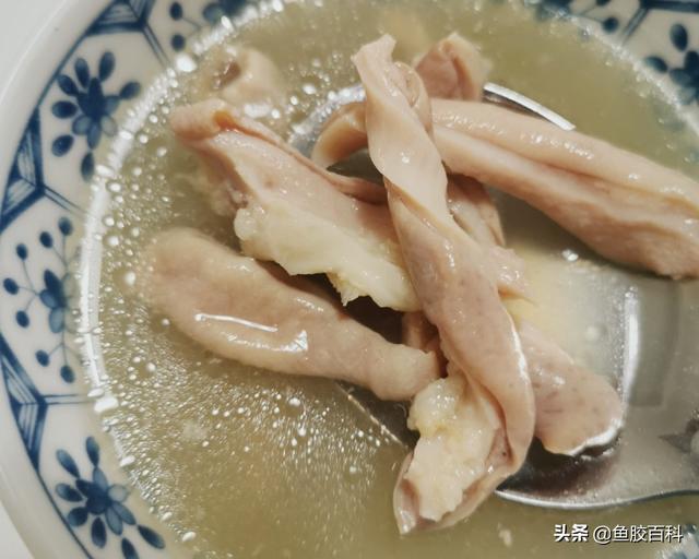 花胶一根 2026年花胶一片片和一条条
