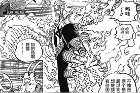 海贼王1006话：马尔科承认打不过烬和奎因，人兽型是最后底牌图片