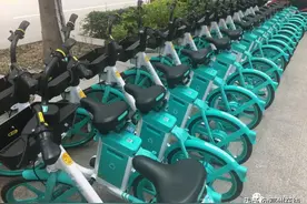 起步价3元！又一共享单车来到高州！你骑了吗？图片