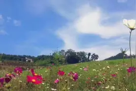 九坝生态度假村我将来养老之地图片