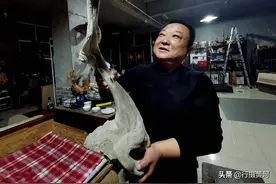 山西5旬大哥在悬崖峭壁上捡到“崖柏”骨料，万元不卖，看啥样子图片