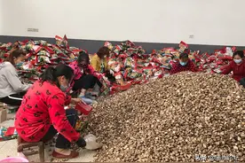 随州90后夫妻：让梦想扎根家乡图片