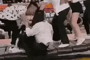 搞笑动图：连猫咪都会玩游戏了图片