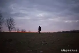 我若离去，谁会在意？图片