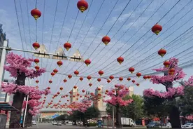 唐山这条樱花大街，给你一个粉红色的回忆图片