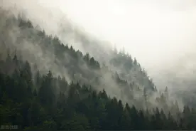 静地乐土 人间仙境 古静乐曾森林茂密 飞禽走兽众多图片