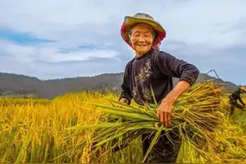 老话“月中火色人多病，若遇雷声米价增”，有无道理？月中指几月图片