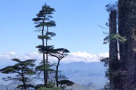 莽山五指峰景区，票价320值么？图片