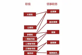 领事职务与外交衔级、行政级别的对应关系图片