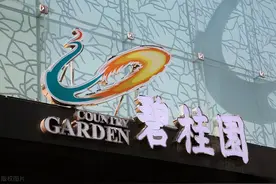 “疯狂”的碧桂园！三四线楼市的神药？还是毒药？图片