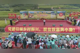 割稻谷、徒手捉鱼，福安潭头下洋村成功举办第五届“开镰节”图片