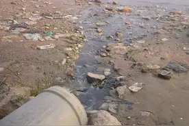 破坏生态环境要负什么责任？《民法典》告诉你图片