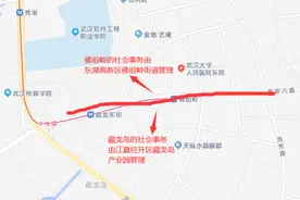 藏龙岛与佛祖岭同属江夏，前者封闭管理，后者不用，原因你了解吗图片