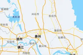 江苏盐城有个县级市，与黄海相连，拥有黄海森林公园图片