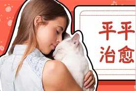 入股不亏！猫咪除了萌，竟还是优秀的心理治疗师？图片