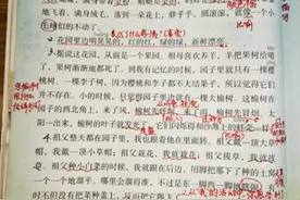 五年级语文下册第二课《祖父的园子》手抄随堂笔记，补充网课内容图片