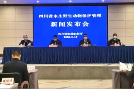 哪些水生野生动物能吃？不能吃？四川给出权威答案图片