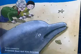 原版绘本/英文牛津树五Dolphin Rescue海豚营救图片
