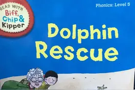 原版绘本/英文牛津树五Dolphin Rescue海豚营救图片