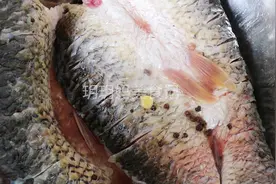 教你正宗腌腊鱼的方法，配料简单味道足，保存时间越长吃起来越香图片