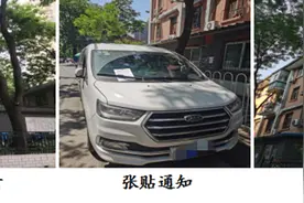 接诉即办——树木影响居民窗户，协调修剪解决烦忧图片