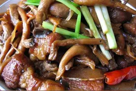 家常菜精选：红烧肉炖平菇、莲子猪肚汤、红烧猪尾、鲜炒螺蛳图片