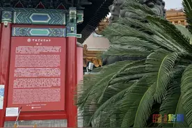 免费参观！“唐僧”夫人耗资2亿打造“小故宫”！太震撼了！图片